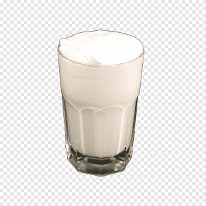 Ayran (20 cl.) | 10,00